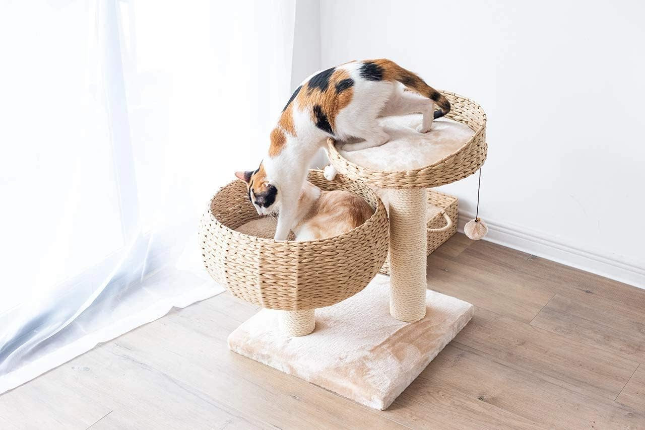 Cat Products